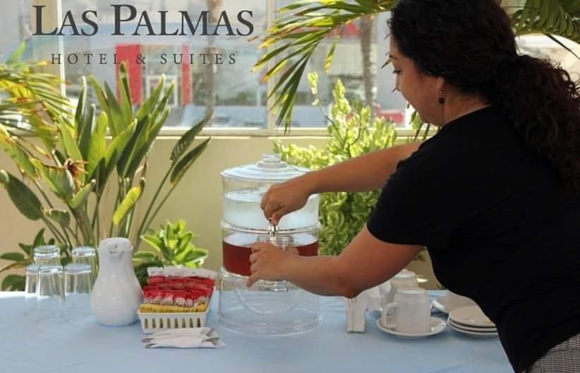 Suites Las Palmas San José del Cabo Exteriér fotografie