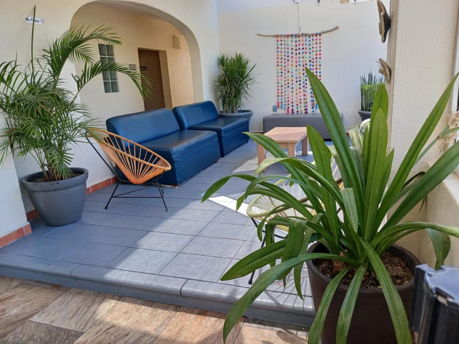 Suites Las Palmas San José del Cabo Exteriér fotografie